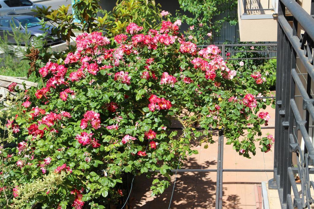 Flowers Apartments Несебир Екстер'єр фото
